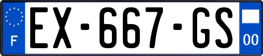 EX-667-GS
