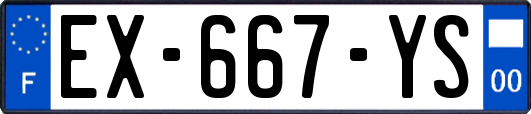 EX-667-YS