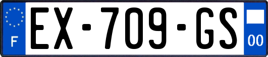 EX-709-GS
