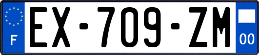 EX-709-ZM