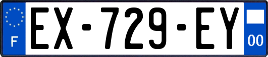 EX-729-EY
