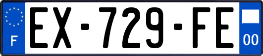 EX-729-FE