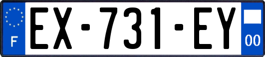EX-731-EY