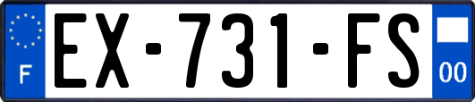 EX-731-FS