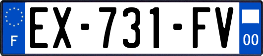 EX-731-FV