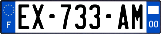 EX-733-AM