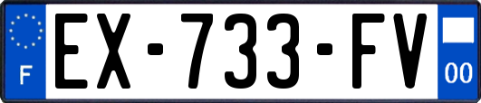 EX-733-FV