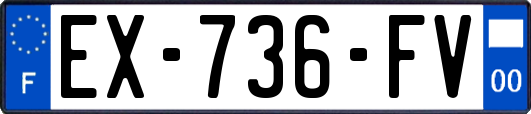 EX-736-FV