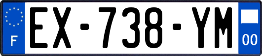 EX-738-YM