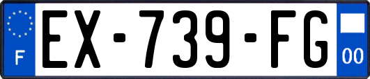 EX-739-FG