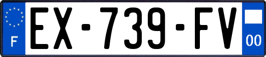 EX-739-FV