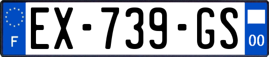 EX-739-GS