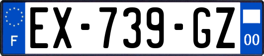 EX-739-GZ