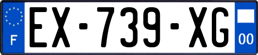 EX-739-XG