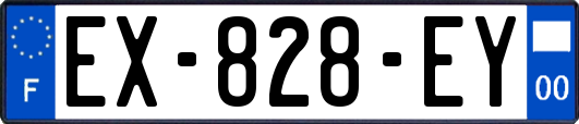 EX-828-EY