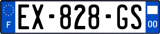 EX-828-GS