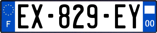 EX-829-EY