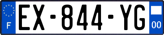 EX-844-YG