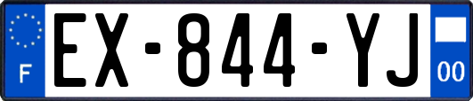 EX-844-YJ