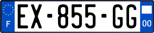 EX-855-GG