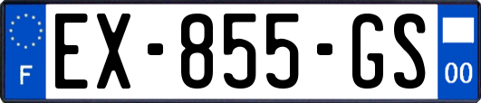 EX-855-GS