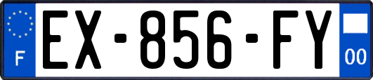 EX-856-FY