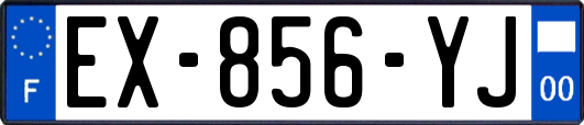 EX-856-YJ