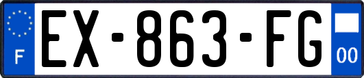 EX-863-FG