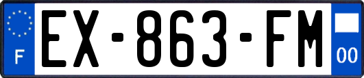 EX-863-FM