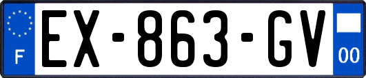 EX-863-GV