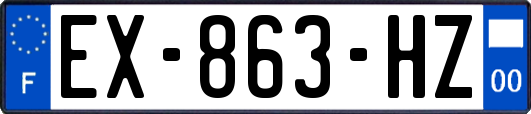 EX-863-HZ