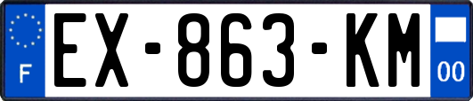 EX-863-KM