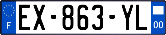 EX-863-YL