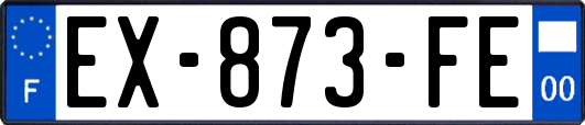 EX-873-FE