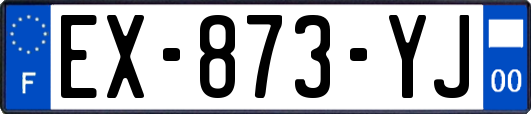 EX-873-YJ