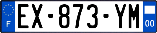 EX-873-YM