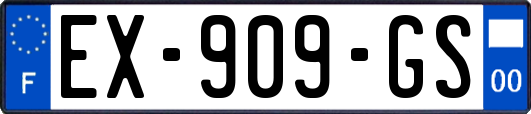 EX-909-GS