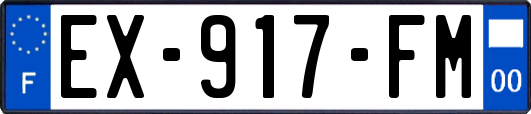 EX-917-FM