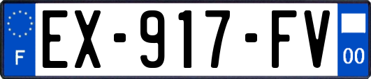 EX-917-FV
