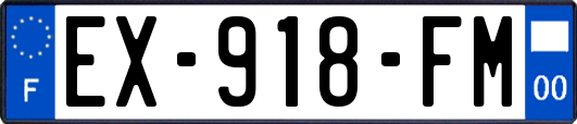 EX-918-FM