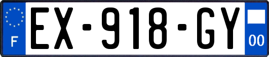 EX-918-GY