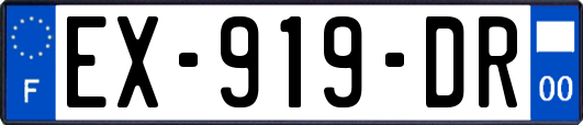 EX-919-DR