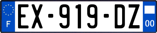 EX-919-DZ