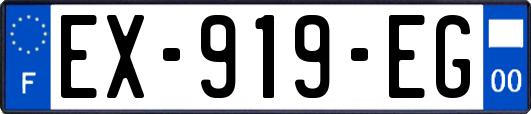 EX-919-EG