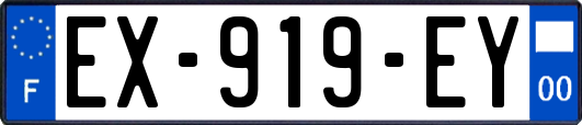 EX-919-EY