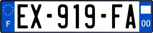 EX-919-FA
