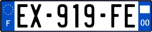 EX-919-FE