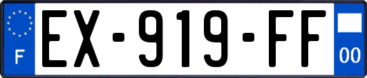 EX-919-FF