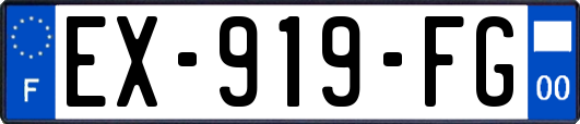 EX-919-FG