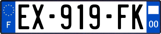 EX-919-FK